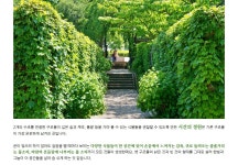 한강, 겸재 정선이 그린 선유봉 공원 자전거여행 - ◈도보자전거여행길 - 녹색자전거봉사단연합 한강, 겸재 정선이 그린 선유봉 공원 자전거여행