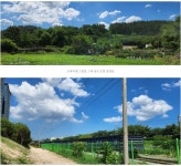 포항 ~경주시 자전거여행길 - ◈도보자전거여행길 - 녹색자전거봉사단연합 포항 ~경주시 자전거여행길