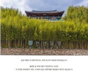 담양 남도 여행길, 죽녹원.관방제림.담빛예술창고.메타프로방스 힐링... 담양 남도 여행길, 죽녹원.관방제림.담빛예술창고.메타프로방스 힐링 코스