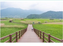 전남 완도 목포 무안 영광 고흥 여수 순천 가볼만한 곳, 미식여행 코스... 전남 완도 목포 무안 영광 고흥 여수 순천 가볼만한 곳, 미식여행 코스 추천