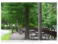 한여름 피서 막장, 왕피천계곡 자전거여행길 - ◈도보자전거여행길 - 녹색자전거봉사단연합 한여름 피서 막장, 왕피천계곡 자전거여행길