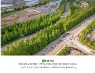 담양 남도 여행길, 죽녹원.관방제림.담빛예술창고.메타프로방스 힐링... 담양 남도 여행길, 죽녹원.관방제림.담빛예술창고.메타프로방스 힐링 코스