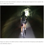 강원도 환상 자전거여행 3일차(주천강-평창강-동강) - ◈도보자전거여행길 - 녹색자전거봉사단연합 강원도 환상 자전거여행 3일차(주천강-평창강... 