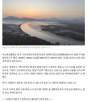 도심에 등장, 실물 처음 본다. - ◈동식물생태보존뉴스 - 녹색자전거봉사단연합 도심에 등장, 실물 처음 본다.