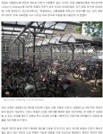보행자보다 자전거가 우선인 나라, 자전거 천국인 이유 - ◈자전거교통문화정보 - 녹색자전거봉사단연합 보행자보다 자전거가 우선인 나라... 
