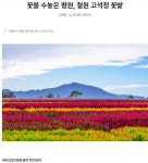 철원 고석정 꽃밭 여행길 - ◈도보자전거여행길 - 녹색자전거봉사단연합 철원 고석정 꽃밭 여행길