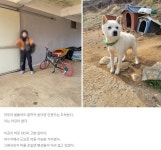 서울에서 충남 예산까지 자전거여행길 - ◈도보자전거여행길 - 녹색자전거봉사단연합 서울에서 충남 예산까지 자전거여행길