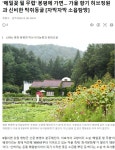메밀꽃 필 무렵, 봉평의 초가을 향기 자전거여행길 - ◈자전거여행길 - 녹색자전거봉사단연합 메밀꽃 필 무렵, 봉평의 초가을 향기 자전거여행길