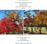 추석연휴 경춘선 자라섬 자전거여행길 - ◈걷거나.자전거여행길 - 녹색자전거봉사단연합 추석연휴 경춘선 자라섬 자전거여행길
