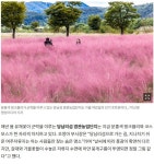 왕의 숲길, 여주통 3인의 뽑은 여강 먹거리 자전거길 여행... 녹색자전거봉사단연합 왕의 숲길, 여주통 3인의 뽑은 여강 먹거리 자전거길 여행