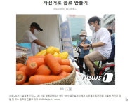 서울 청계광장앞 유기농데이 - 서울특별시 - 녹색자전거봉사단연합 서울 청계광장앞 유기농데이