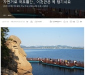 전남 목포에서 영산강 자전거여행 - ◈도보자전거여행길 - 녹색자전거봉사단연합 전남 목포에서 영산강 자전거여행