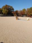 11월3~4일(2일간)송파세륜초등학교 찾아가는 자전거안전교육 - ◈ 찾아가는학교자전거 안전교육(교육청) - 녹색자전거봉사단연합 11월3~4일... 