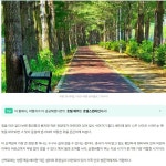 잣나무가 만든 2km 초록 터널, 지속가능한 의령 자전거 여행길... 잣나무가 만든 2km 초록 터널, 지속가능한 의령 자전거 여행길