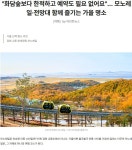 한적하고 예약없이도 ,모노레일.전망대 함께 즐기는 `강화 교동`가을명소 - ◈도보자전거여행길 - 녹색자전거봉사단연합 한적하고 예약없이도... 
