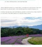 철원 고석정 꽃밭 여행길 - ◈도보자전거여행길 - 녹색자전거봉사단연합 철원 고석정 꽃밭 여행길