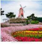 철원 고석정 꽃밭 여행길 - ◈도보자전거여행길 - 녹색자전거봉사단연합 철원 고석정 꽃밭 여행길