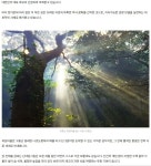 나만의 힐링 주목받는 고흥 여행길 - ◈걷거나.자전거여행길 - 녹색자전거봉사단연합 나만의 힐링 주목받는 고흥 여행길