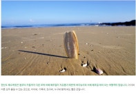 국내섬 여행지, 충남 안면도 `원산도` - ◈자전거여행길 - 녹색자전거봉사단연합 국내섬 여행지, 충남 안면도 `원산도`