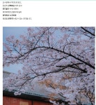 분홍빛 핫플 4월 국내여행지 추천 - ◈도보자전거여행길 - 녹색자전거봉사단연합 분홍빛 핫플 4월 국내여행지 추천