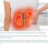 잘 붓고, 소변량에 변화가 생겼다면? 콘팥병 - 건강상식과 정보 - 녹색자전거봉사단연합 잘 붓고, 소변량에 변화가 생겼다면? 콘팥병