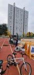 11월3~4일(2일간)송파세륜초등학교 찾아가는 자전거안전교육 - ◈ 찾아가는학교자전거 안전교육(교육청) - 녹색자전거봉사단연합 11월3~4일... 