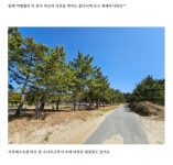 전남 신안 도초도 시목해수욕 캠핑장 자전거여행 - ◈도보자전거여행길 - 녹색자전거봉사단연합 전남 신안 도초도 시목해수욕 캠핑장 자전거여행