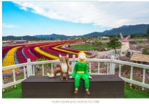 철원 고석정 꽃밭 여행길 - ◈도보자전거여행길 - 녹색자전거봉사단연합 철원 고석정 꽃밭 여행길