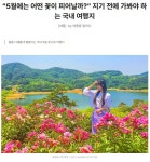 5월 봄꽃 따라 국내여행길 - ◈도보자전거여행길 - 녹색자전거봉사단연합 5월 봄꽃 따라 국내여행길