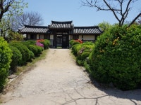 안동의하회마을 - 카페 앨범 - ok.산악회 안동의하회마을