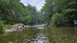 아침가리골 계곡트래킹 2025-08-17 - 산행 - 예쁜공주네 아침가리골 계곡트래킹 2025-08-17