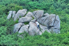 모악산. 금산사 / 전북김제... 2014.08.10 - 오른산/가본곳/야생화 - 함평초등동문회 모악산. 금산사 / 전북김제... 2014.08.10