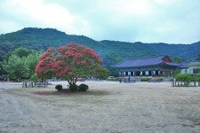 모악산. 금산사 / 전북김제... 2014.08.10 - 오른산/가본곳/야생화 - 함평초등동문회 모악산. 금산사 / 전북김제... 2014.08.10