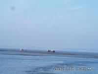 대부 해솔길 6-2코스 탐방 - ─‥전국-웰빙길&여행 - 부산:- 메아리산악회(박) 대부 해솔길 6-2코스 탐방