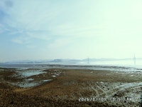 대부 해솔길 6-2코스 탐방 - ─‥전국-웰빙길&여행 - 부산:- 메아리산악회(박) 대부 해솔길 6-2코스 탐방