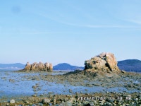 대부 해솔길 6-2코스 탐방 - ─‥전국-웰빙길&여행 - 부산:- 메아리산악회(박) 대부 해솔길 6-2코스 탐방