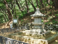 용문산 - 경기 양평군 - 오른산/가본곳/야생화 - 함평초등동문회 용문산 - 경기 양평군