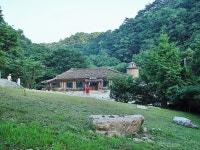 용문산 - 경기 양평군 - 오른산/가본곳/야생화 - 함평초등동문회 용문산 - 경기 양평군