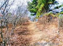 대부 해솔길 6-2코스 탐방 - ─‥전국-웰빙길&여행 - 부산:- 메아리산악회(박) 대부 해솔길 6-2코스 탐방