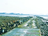 대부 해솔길 6-2코스 탐방 - ─‥전국-웰빙길&여행 - 부산:- 메아리산악회(박) 대부 해솔길 6-2코스 탐방