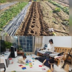 12/1- 곶감걸기,메주쑤기, 콩이맘 환갑, 바래봉 다녀오기(광평유람단) - 2025- 지리산 귀농일기 - 설봉의 <지리산방> 12/1- 곶감걸기,메주쑤기... 