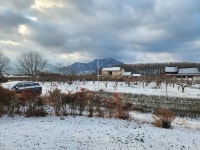 1/31-설날 떡국, 마산천 산책 - 2025- 지리산 귀농일기 - 설봉의 <지리산방> 1/31-설날 떡국, 마산천 산책