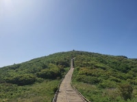 6/5- 노고단 야생화, 단비가 내린 설봉농장 풍경 - 2022- 지리산 귀농일기 - 설봉의 <지리산방> 6/5- 노고단 야생화, 단비가 내린 설봉농장 풍경