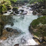 - 2025- 지리산 귀농일기 - 설봉의 <지리산방> 9/10- 밤은 아람이 벌어지고, 설봉농장은 풍년이고, 식탁은 풍요롭다.