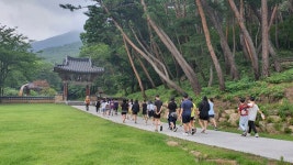 7/17- 첫 출근, 농촌살아보기팀 수료, 서시천 원추리꽃, 농장 모습 - 2022- 지리산 귀농일기 - 설봉의 <지리산방> 7/17- 첫 출근, 농촌살아보기팀... 