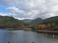 11/14- 감말랭이무침, 눈내린 노고단, 샘물님부부 방문, 감국 - 2021- 지리산 귀농일기 - 설봉의  11/14- 감말랭이무침, 눈내린 노고단... 