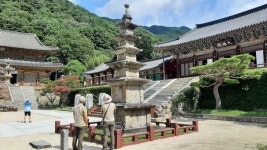 7/17- 첫 출근, 농촌살아보기팀 수료, 서시천 원추리꽃, 농장 모습 - 2022- 지리산 귀농일기 - 설봉의 <지리산방> 7/17- 첫 출근, 농촌살아보기팀... 