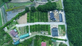 6/12- 감자옹심이, 팥죽, 닭미역국, 콩,팥심기, 하늘에서 본 설봉농장 - 2022- 지리산 귀농일기 - 설봉의 <지리산방> 6/12- 감자옹심이, 팥죽... 