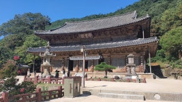 9/18- 농촌 살아보기팀, 다래, 근무 모습 - 2022- 지리산 귀농일기 - 설봉의 <지리산방> 9/18- 농촌 살아보기팀, 다래, 근무 모습