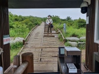 7/24- 노고단 야생화 - 2022- 지리산 귀농일기 - 설봉의 <지리산방> 7/24- 노고단 야생화